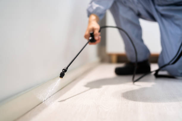 Licensed Termite Control service in Moscow, ID - Nex Pest Control
