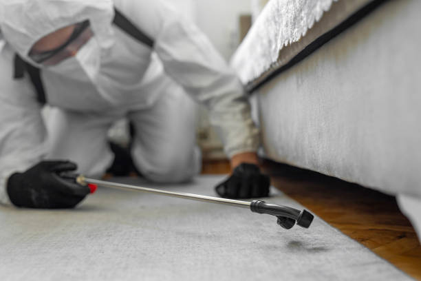 Professional Termite Control technician working in Moscow, ID