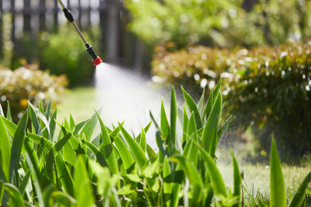 24/7 Emergency Termite Control experts in Moscow, ID
