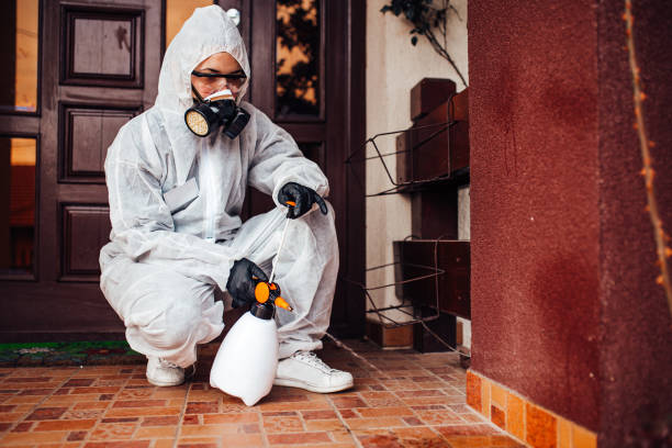 Reliable Termite Control contractor in Moscow, ID by Nex Pest Control