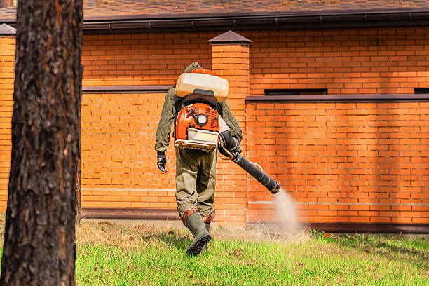 Top rated local Termite Control specialists in Moscow, ID
